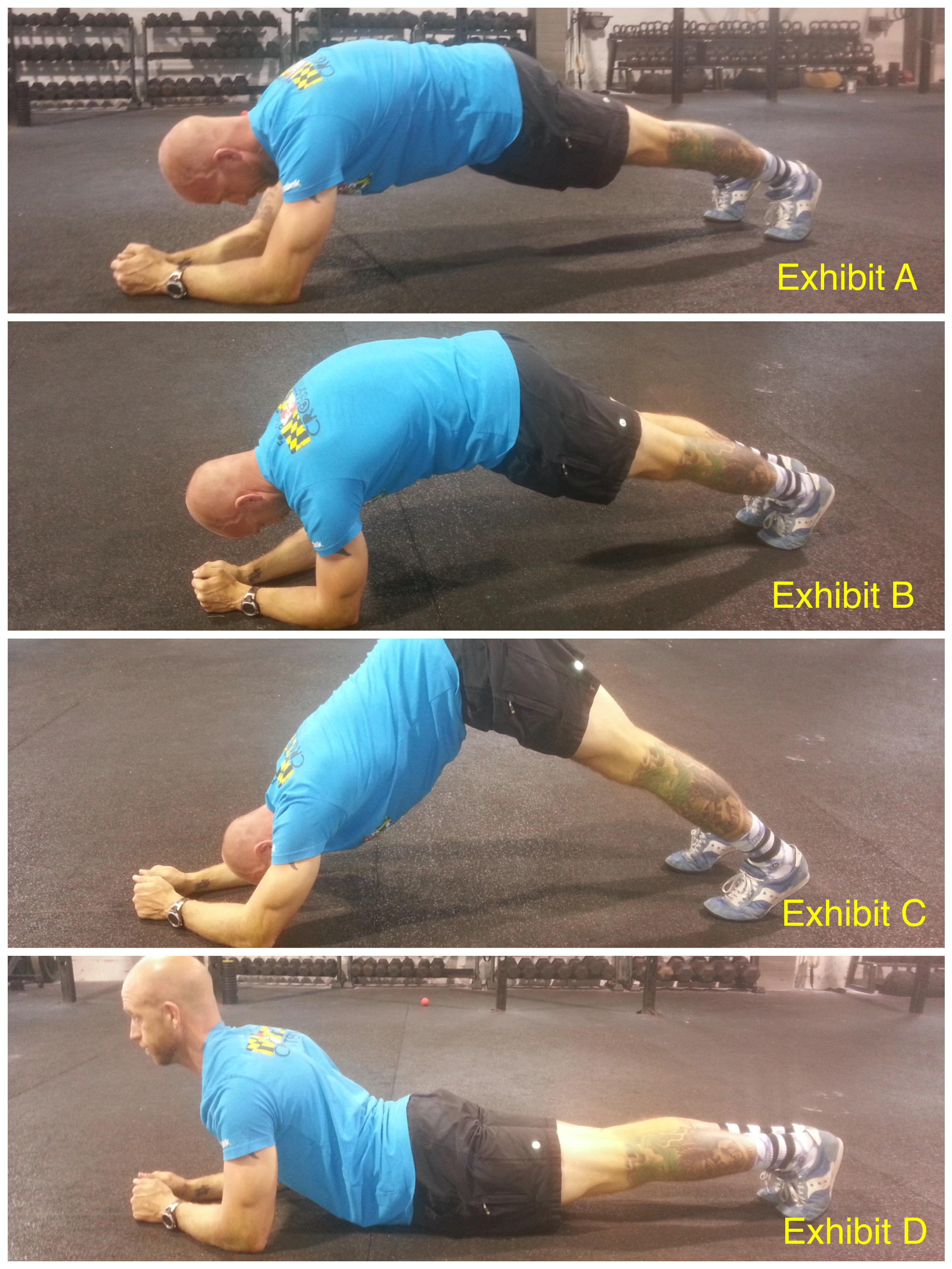 Planks - A Gateway Exercise! - Invictus Fitness