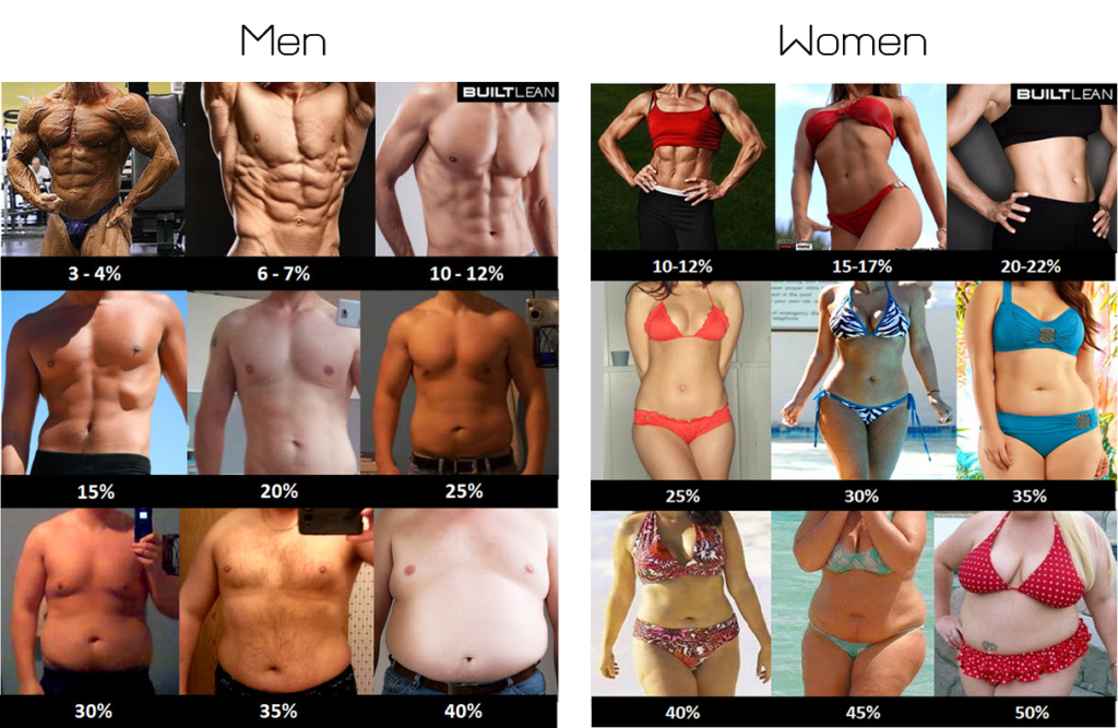 https://www.crossfitinvictus.com/wp-content/uploads/2018/09/body-fat-percentage-men-women-1024x667.png