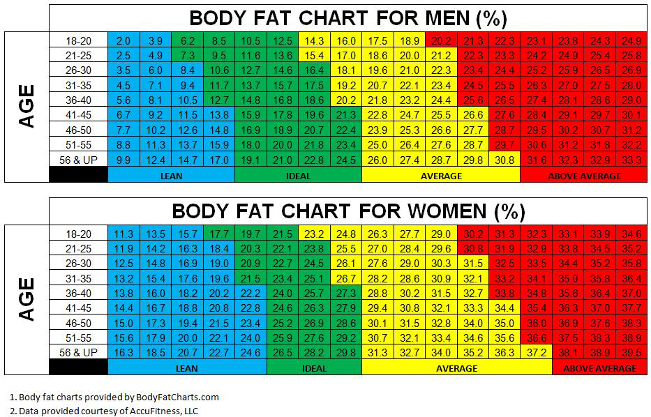 Which is the Most Accurate Body Fat Calculator / Measurement Method?