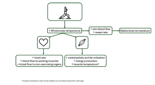 A graph depicting how heat impacts workouts